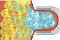 360°c cryolipolysis slimming system