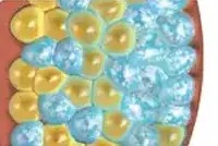 360°c cryolipolysis slimming system